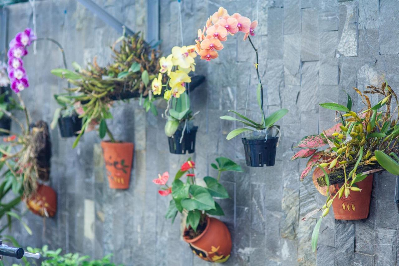 Flower Apartment דה נאנג מראה חיצוני תמונה